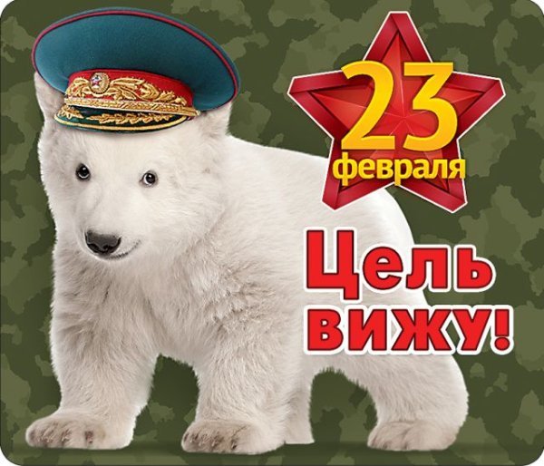 Виниловый магнит "Цель вижу"