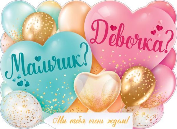 Плакат "Мальчик или Девочка"