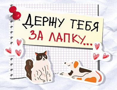 Открытка-отношение "Держу тебя за лапку!"