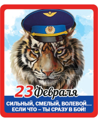 Виниловый магнит "Сильный,смелый, волевой...если что-ты сразу в бой!"