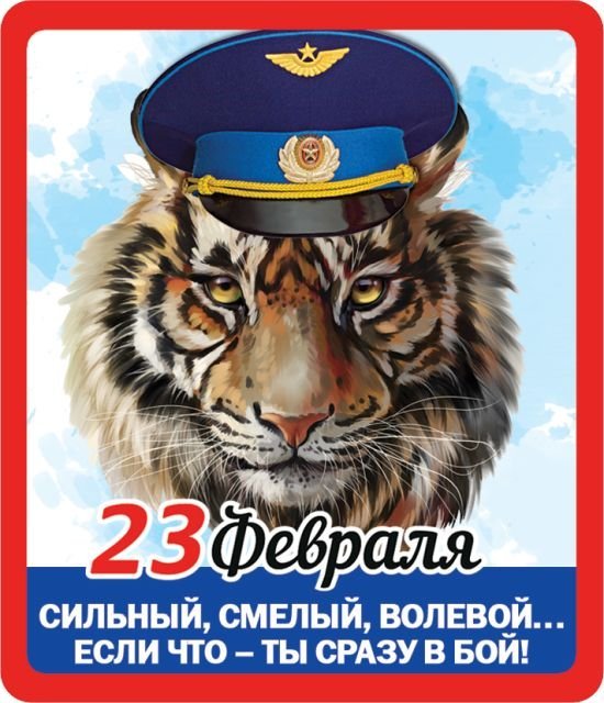 Виниловый магнит "Сильный,смелый, волевой...если что-ты сразу в бой!"