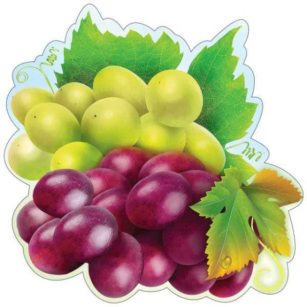 Украшение на скотче "Виноград" Украшение на скотче "Виноград"
