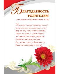 Благодарность родителям за сына