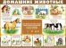 Плакат "Домашние животные"