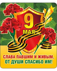 Виниловый магнит "9 Мая"