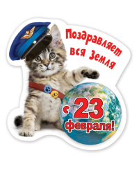 Виниловый магнит "Поздравляет вся земля с 23 Февраля!"