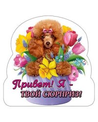 Виниловый магнит "Привет, я твой сюрприз"