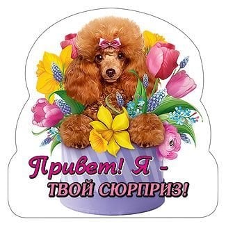 Виниловый магнит "Привет, я твой сюрприз"