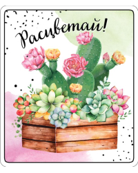 Виниловый магнит "Расцветай"