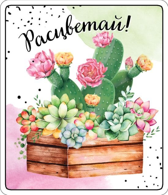 Виниловый магнит "Расцветай"