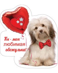 Виниловый магнит "Ты - моя любимая обожулька!"