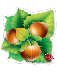 Украшение на скотче "Орехи"