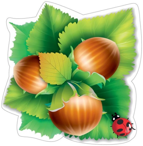 Украшение на скотче "Орехи"