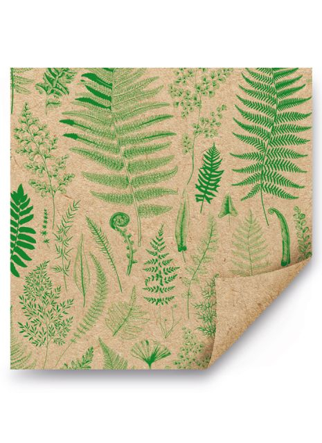 Упаковочная бумага Папоротник