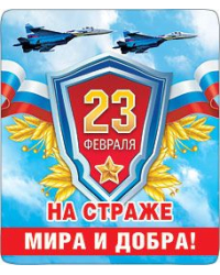 Магнит виниловый "На страже"