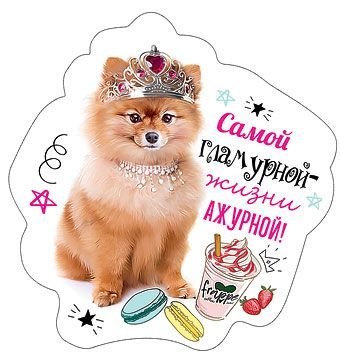 Виниловый магнит "Самой гламурной - жизни ажурной"