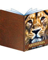 Обложка для документов на авто