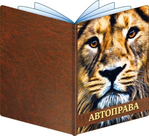 Обложка для документов на авто