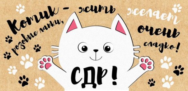 Конверт для денег "СДР! Котик жить желает..."