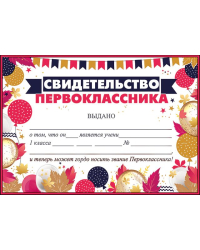 Свидетельство первоклассника