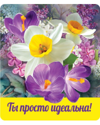 Виниловый магнит "Ты просто идеальнай"