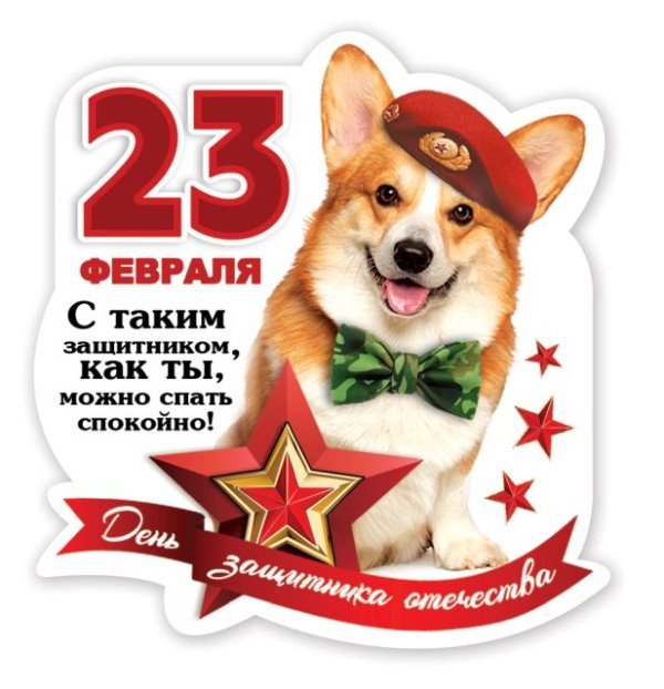 Виниловый магнит "С таким защитником, как ты, можно спать спокойно!"