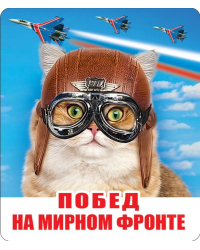 Виниловый магнит "Побед на мирном фронте!" (Российская символика)