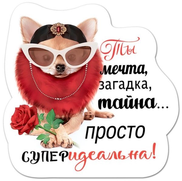 Виниловый магнит "Ты мечта, загадка, тайна..просто суперидеальная!"