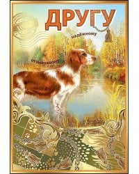 Открытка-поздравлени