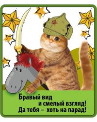 Виниловый магнит "Бравый вид и смелый взгляд!"