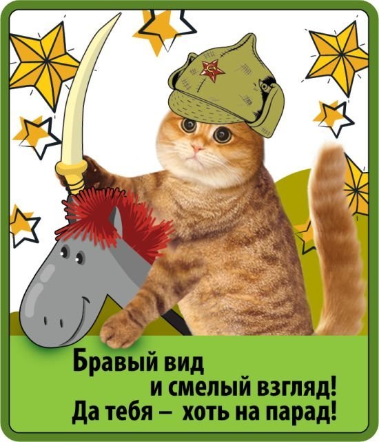 Виниловый магнит "Бравый вид и смелый взгляд!"