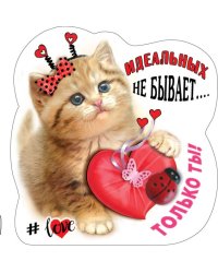 Виниловый магнит "Идеальных не бывает, только ты"