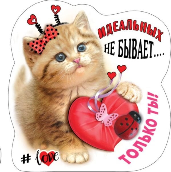 Виниловый магнит "Идеальных не бывает, только ты"
