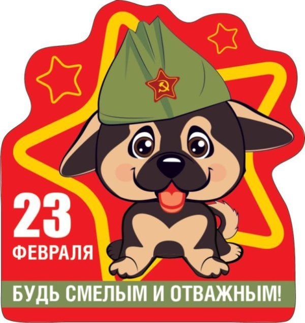 Виниловый магнит "23 февраля. Будь смелым и отважным"
