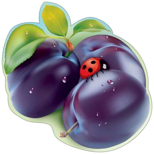 Украшение на скотче "Слива" Украшение на скотче "Слива"