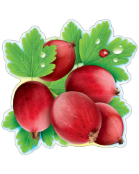 Украшение на скотче "Кыжовник"