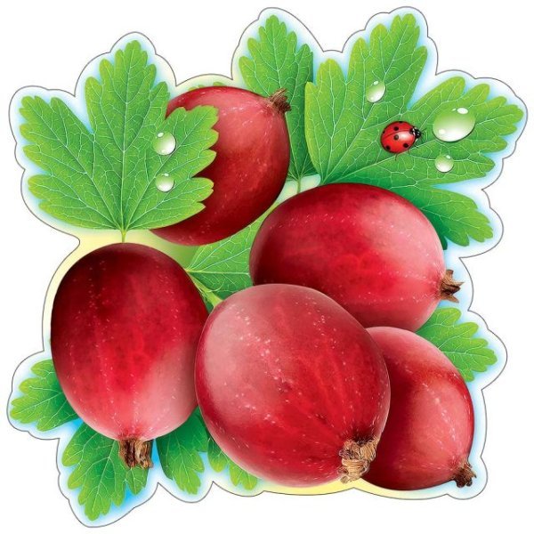 Украшение на скотче "Кыжовник" Украшение на скотче "Кыжовник"