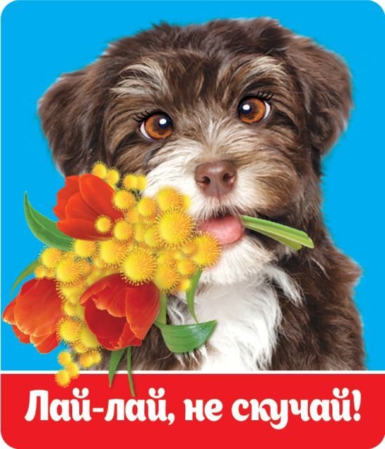 Виниловый магнит "Лай-лай, не скучай"