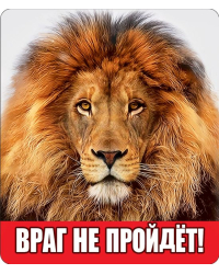Виниловый магнит "Враг не пройдет!"