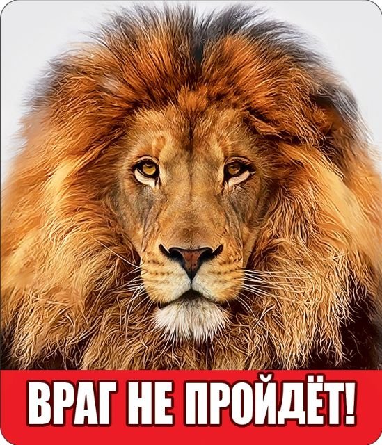 Виниловый магнит "Враг не пройдет!"