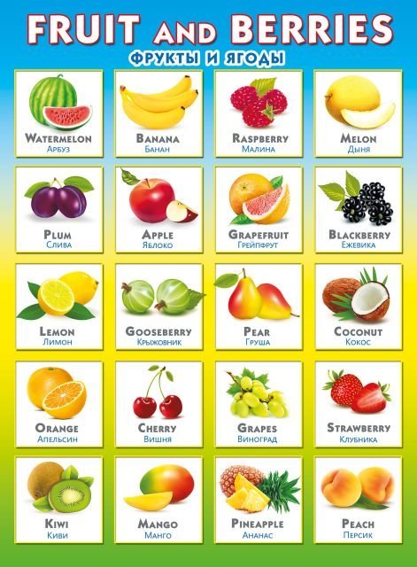Плакат "Fruit and Berries. Фрукты и ягоды"