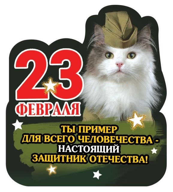 Виниловый магнит "Ты пример для всего человечества-настоящий защитник Отечества!"