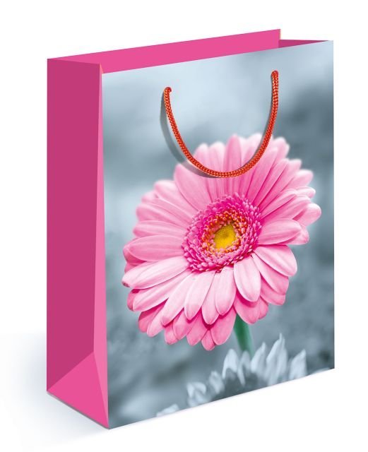 Пакет подарочный (M)