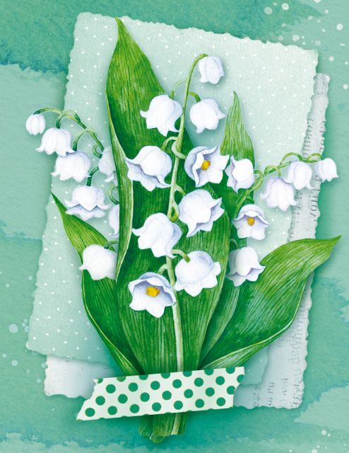 Открытка без надписи