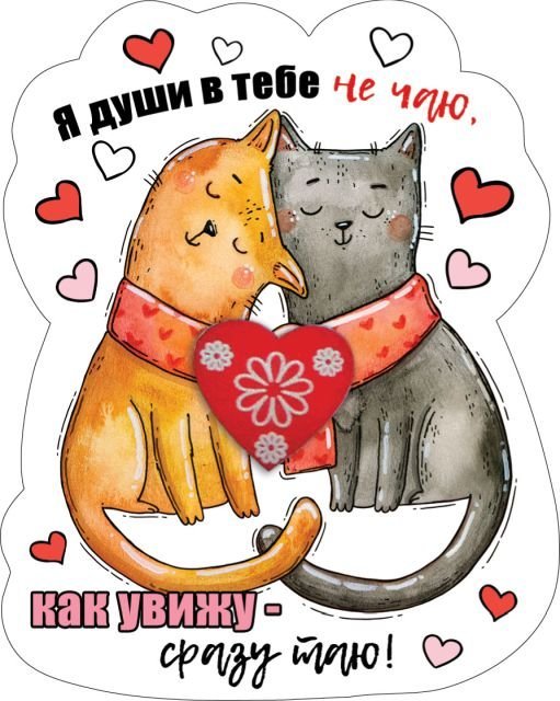 Виниловый магнит "Я души в тебе не чаю, как увижу - сразу таю"
