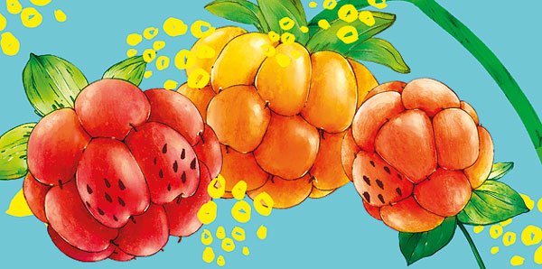 Конверт для денег без надписи