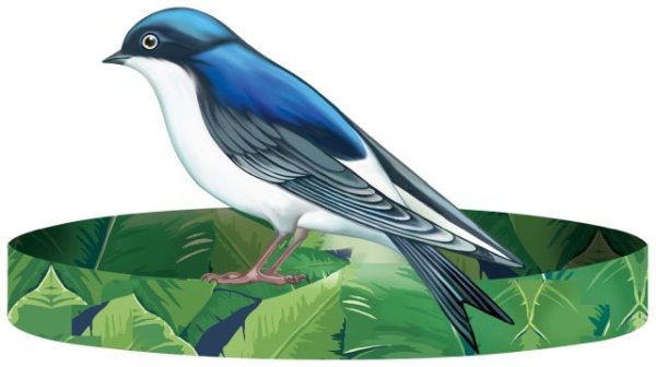 Без надписи (ободок) ЛАСТОЧКА