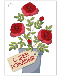 Бирка "С Днем рождения!"