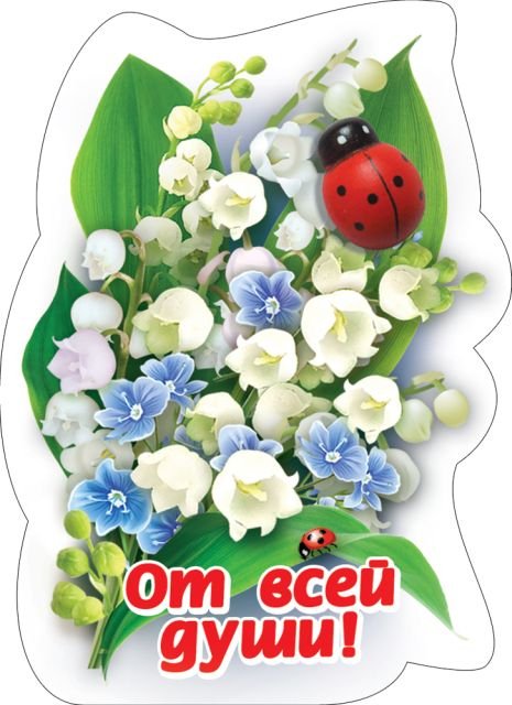 Виниловый магнит "От всей души"