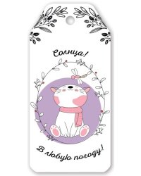 Бирка для подарка "Солнца! В любую погоду!"